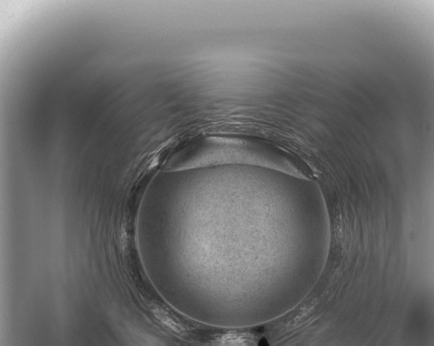 X0000059250566200510211632