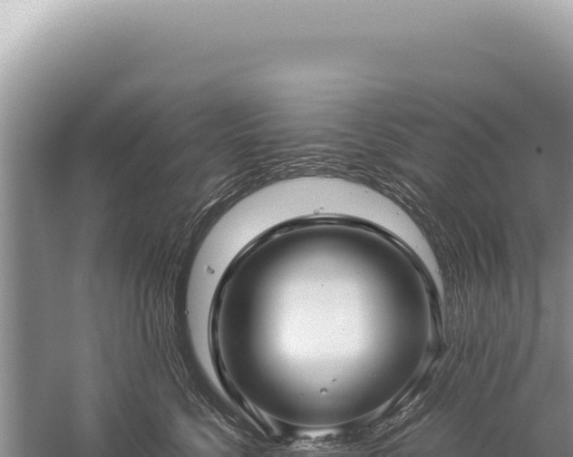 X0000059250568200510211632