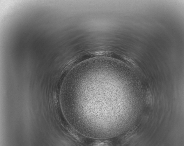 X0000059250569200510211632