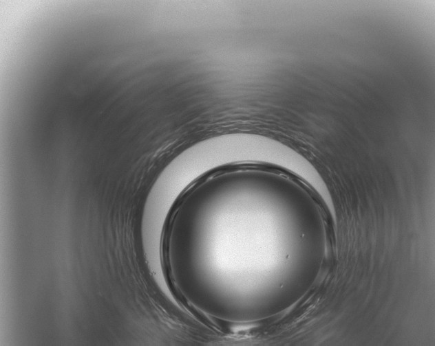 X0000059250570200510211632