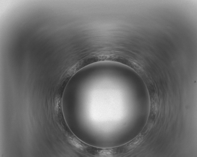 X0000059250574200510211632