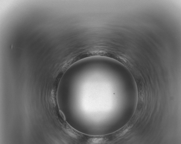 X0000059250575200510211632