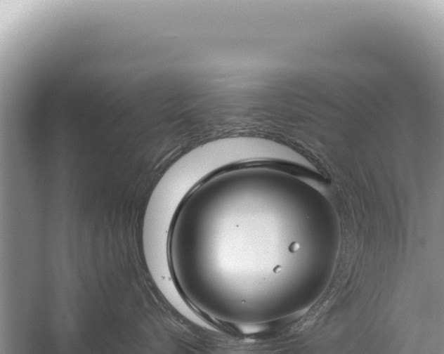 X0000059250576200510211632