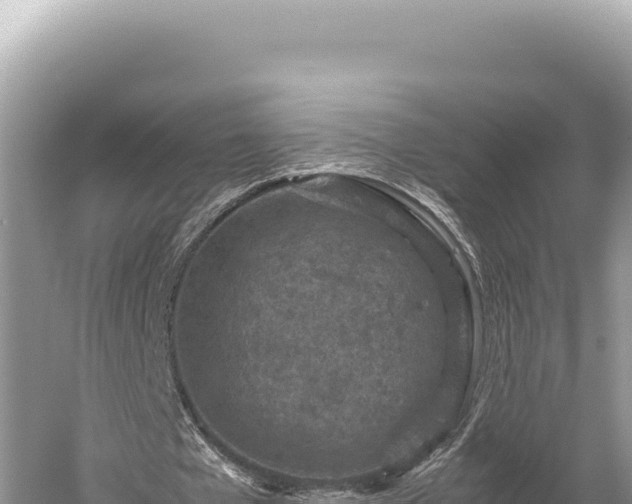 X0000059250577200510211631