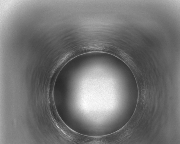 X0000059250578200510211631