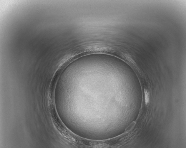 X0000059250579200510211631