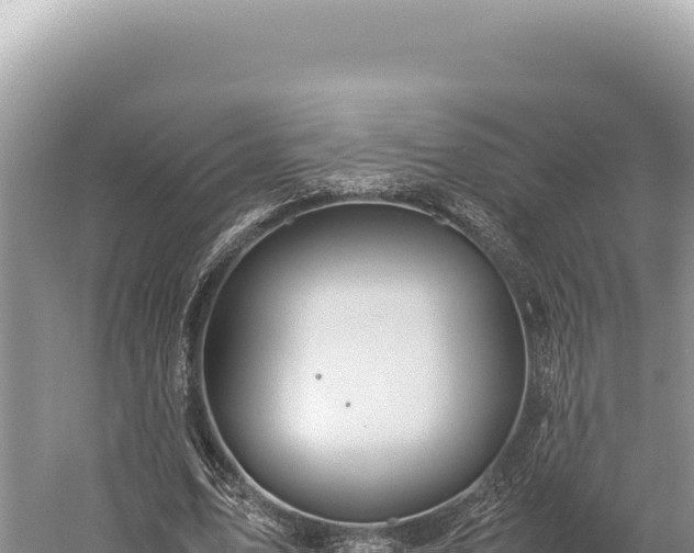 X0000059250583200510211631