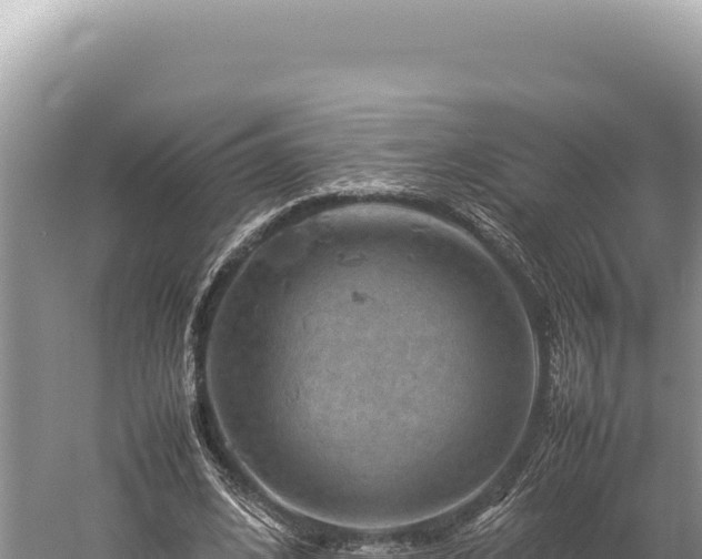 X0000059250584200510211631