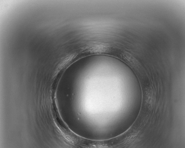 X0000059250586200510211631