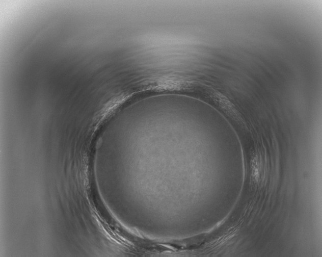 X0000059250588200510211631