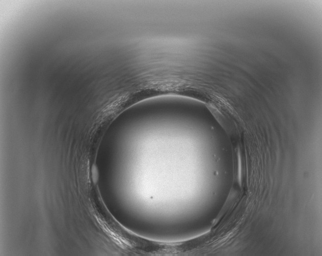 X0000059250589200510211631