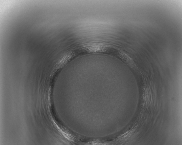 X0000059250590200510211631