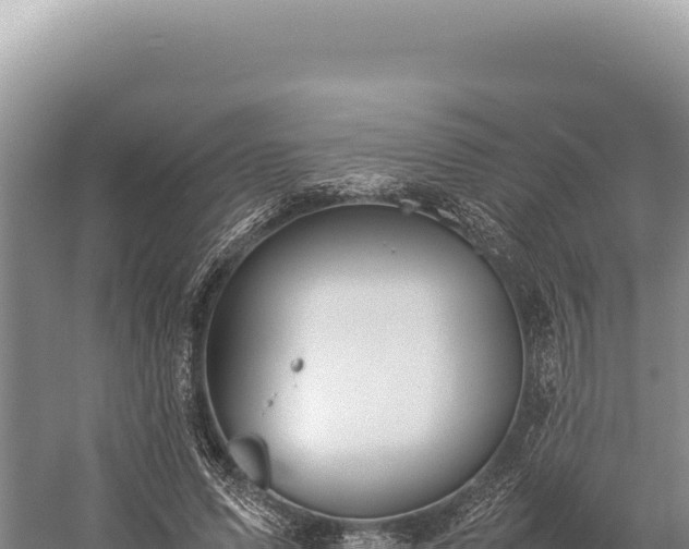 X0000059250591200510211631