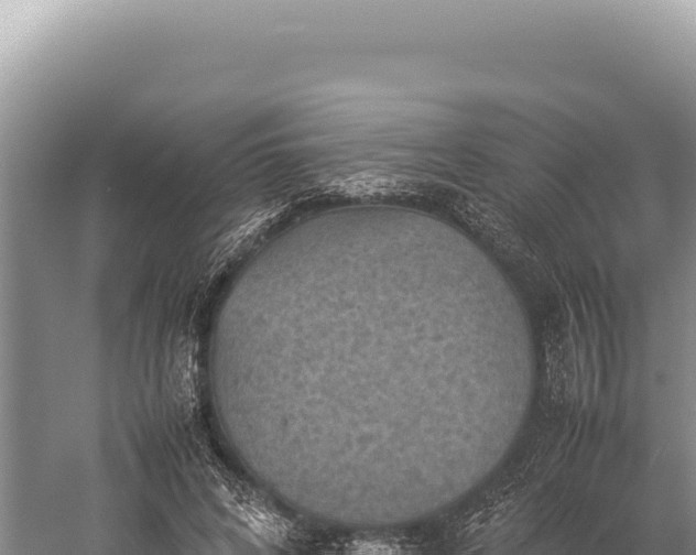 X0000059250592200510211631