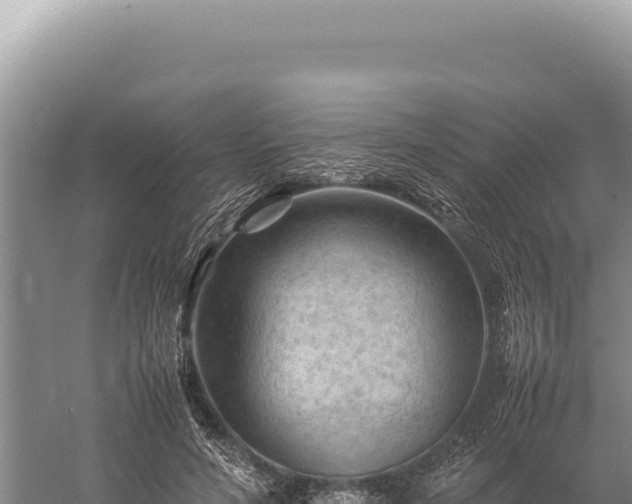 X0000059250594200510211631