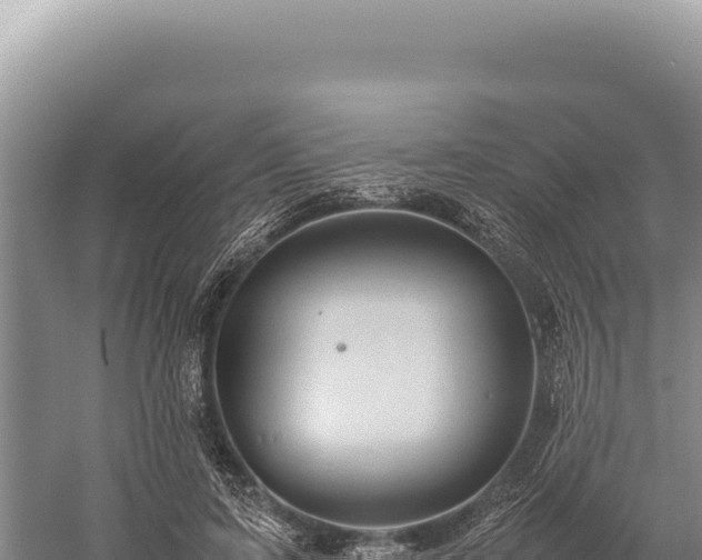 X0000059250595200510211631