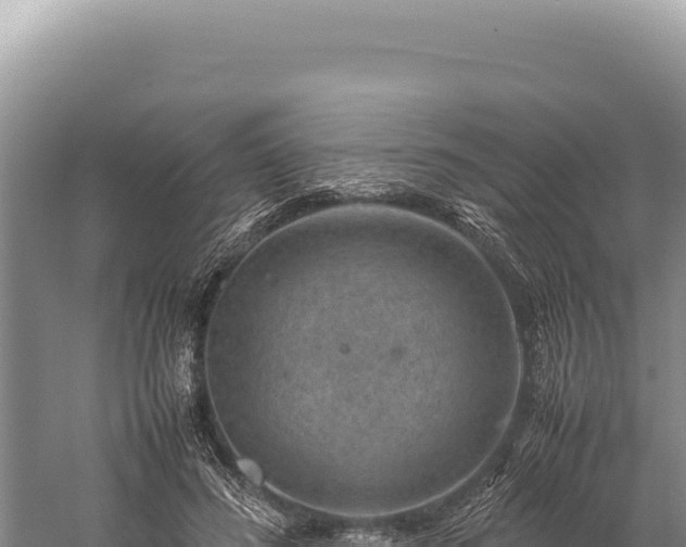 X0000059250596200510211631