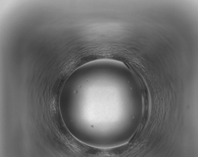 X0000059250597200510211631