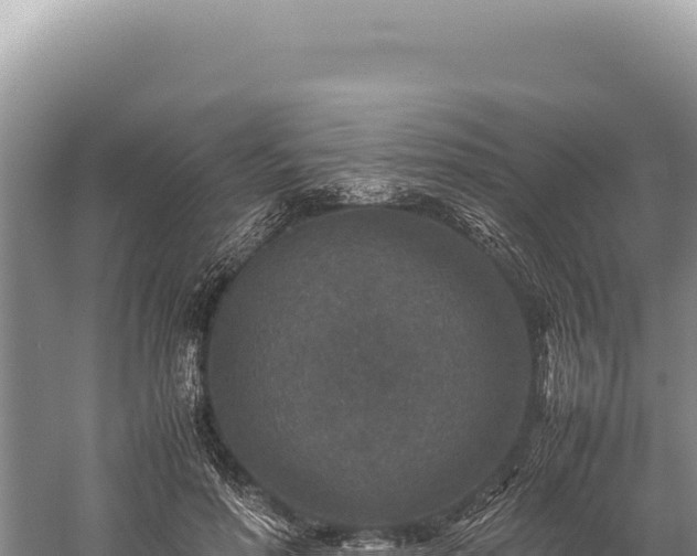 X0000059250598200510211631