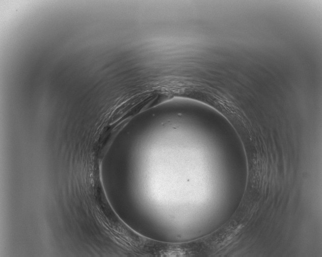 X0000059250600200510211631