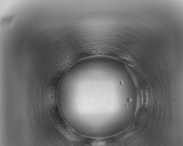 X0000059250602200510211631