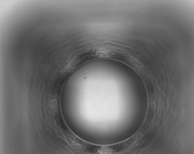 X0000059250603200510211631