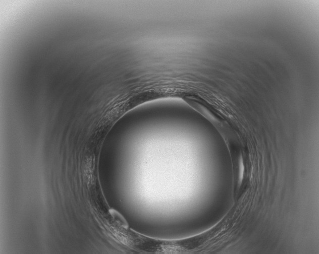 X0000059250605200510211631