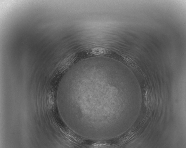 X0000059250606200510211631