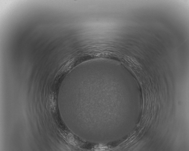 X0000059250607200510211631