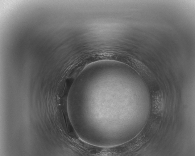 X0000059250608200510211631