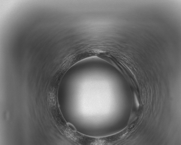 X0000059250609200510211631