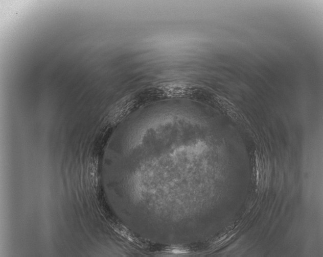 X0000059250610200510211630