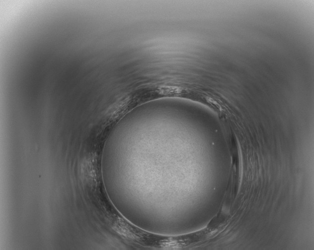 X0000059250616200510211630