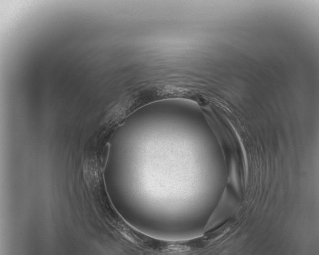 X0000059250617200510211630