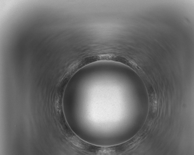 X0000059250619200510211630