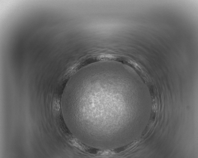 X0000059250621200510211630