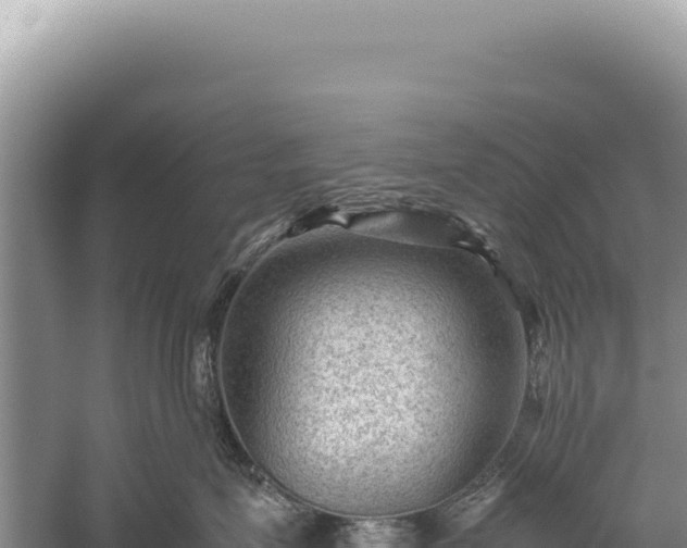 X0000059250623200510211630