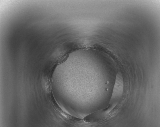 X0000059250624200510211630