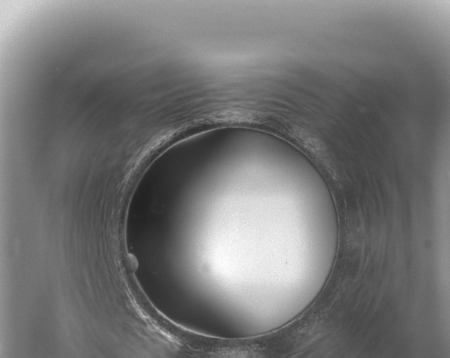 X0000059250625200510211629