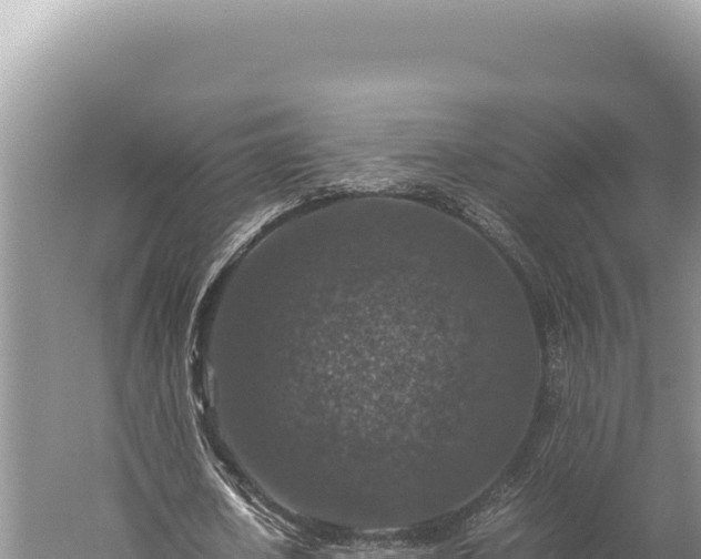 X0000059250626200510211629