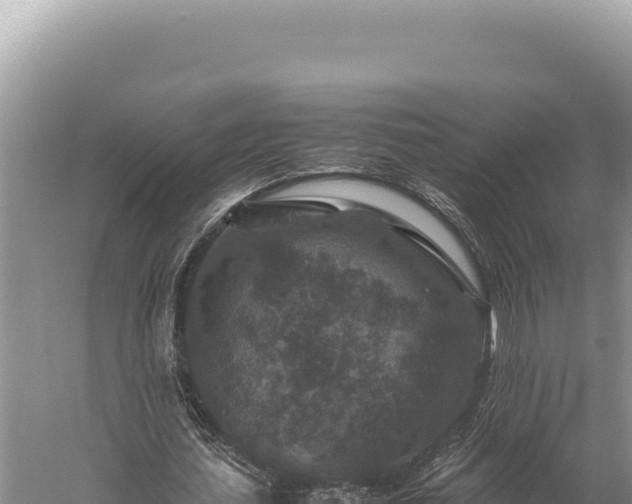 X0000059250627200510211629