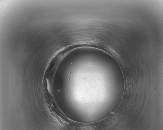 X0000059250628200510211629