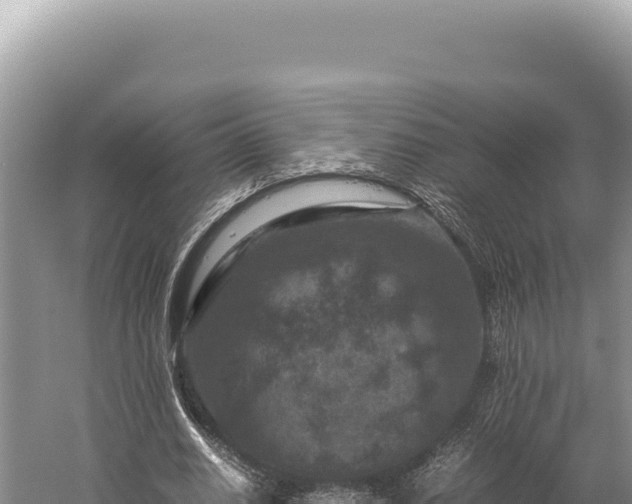 X0000059250630200510211630