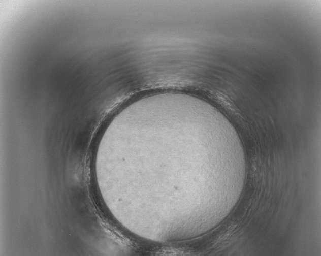 X0000059250632200510211630