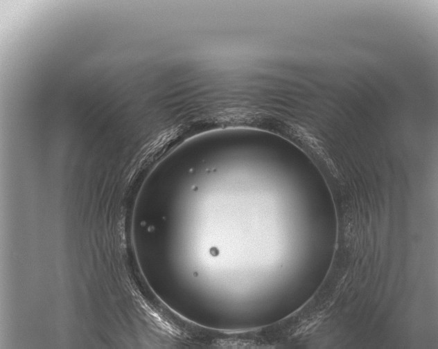 X0000059250633200510211630