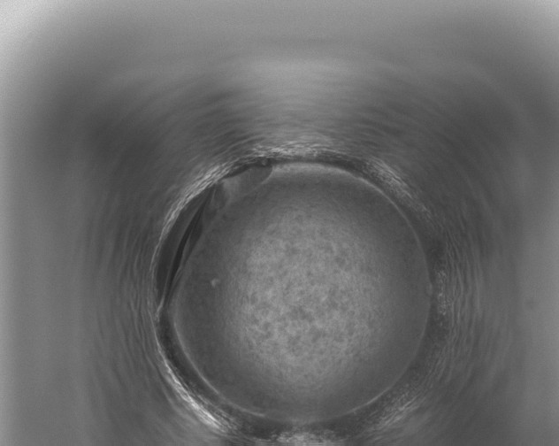 X0000059250634200510211630