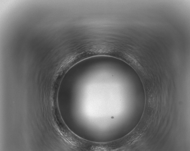 X0000059250635200510211630