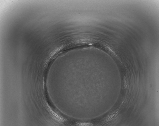 X0000059250637200510211630