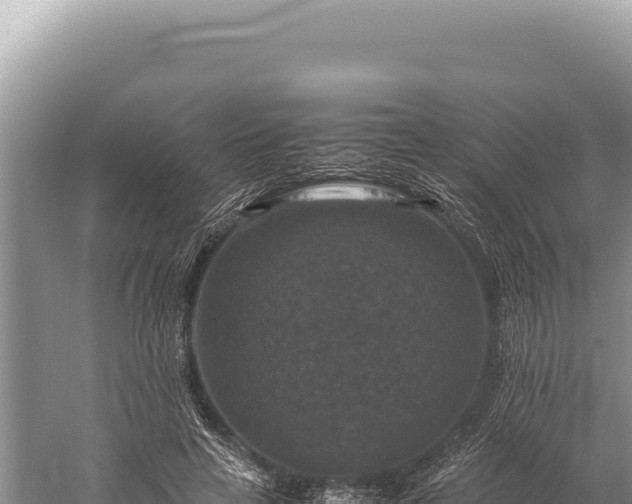 X0000059250641200510211630