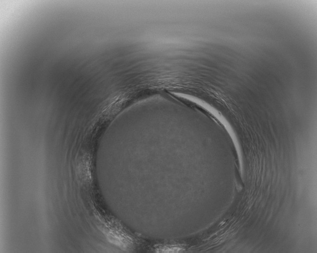 X0000059250643200510211630